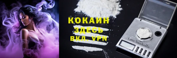 индика Абдулино