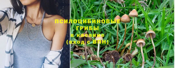 МДПВ Абинск