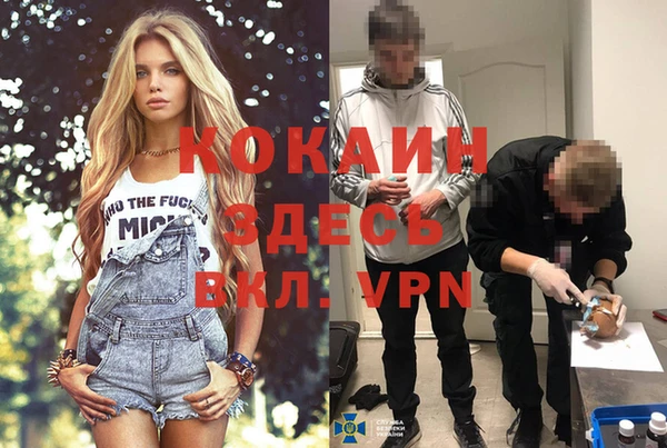 индика Абдулино
