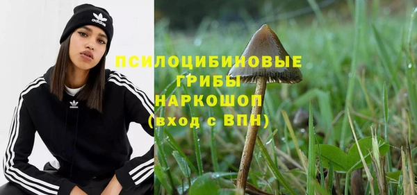 apvp Абаза