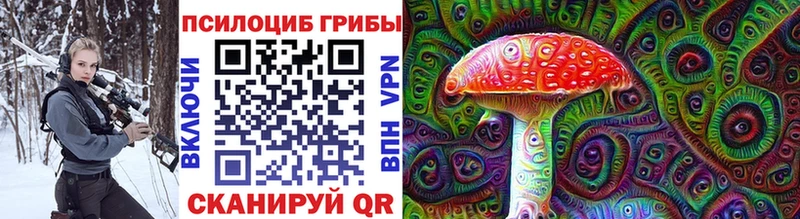 Галлюциногенные грибы Psilocybine cubensis  Фрязино 