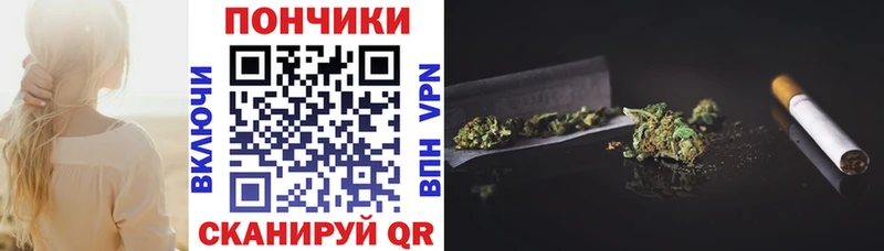 купить закладку  Фрязино  Бошки Шишки семена 